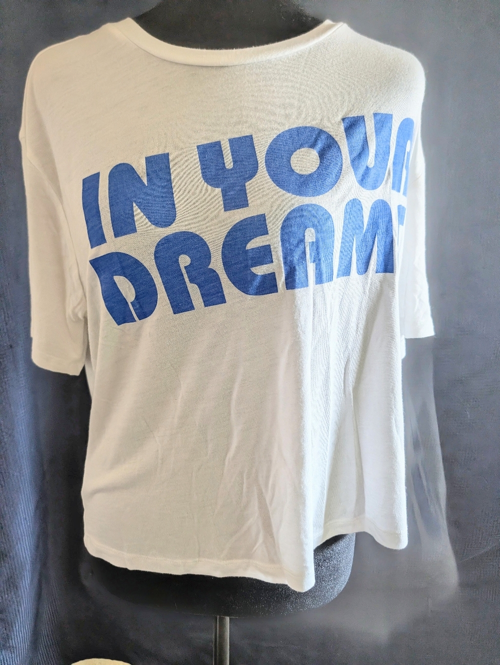 (Hold On Purchase Temporary)White Tee with Bold Blue "IN YOUR DREAMS" Print Sz M